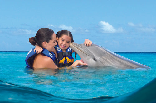 Royal Garrafón + Dolphin Encounter