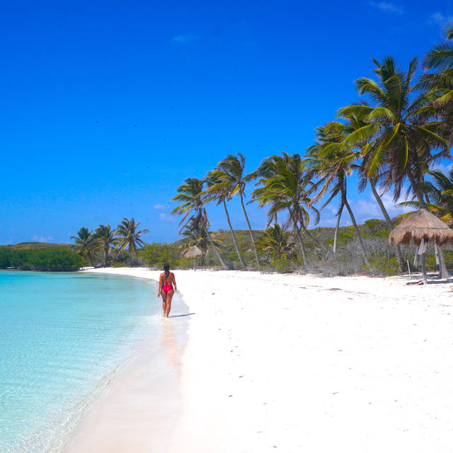 Isla Contoy & Isla Mujeres