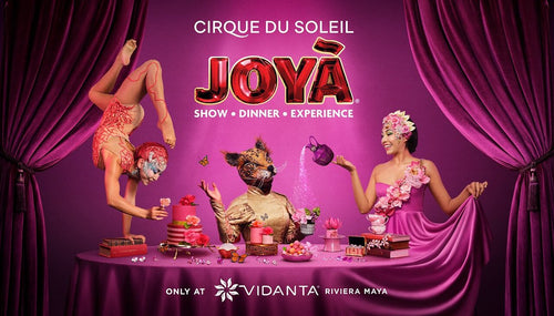 Cirque Du Soleil JOYA - Show