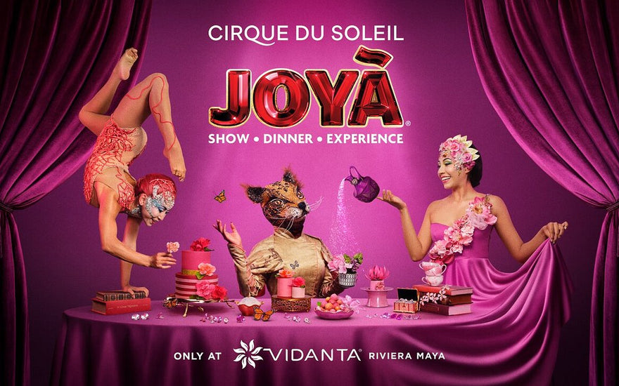 Cirque Du Soleil JOYA - Show