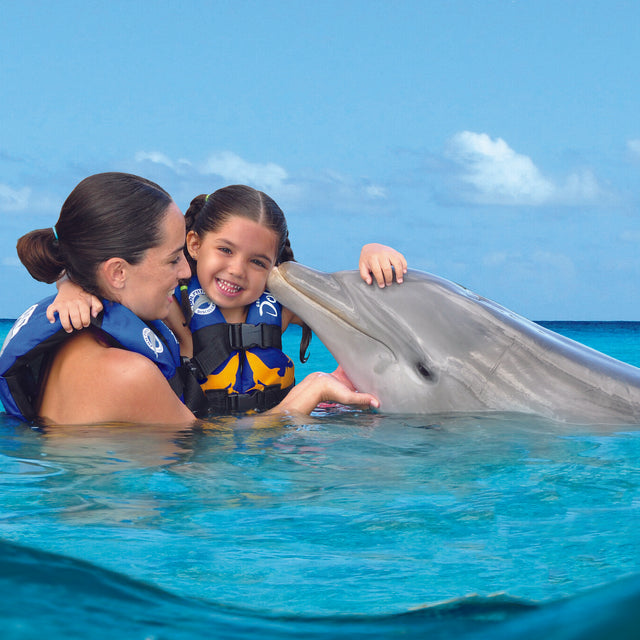 Royal Garrafón + Dolphin Encounter