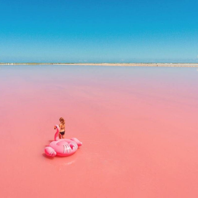 Las Coloradas y Rio Lagartos